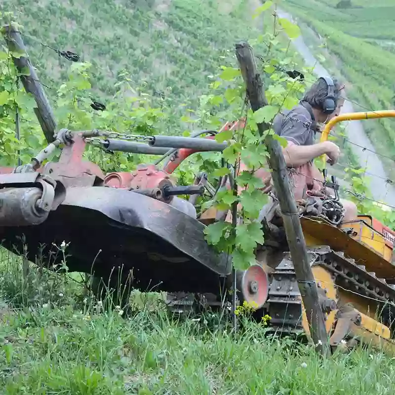 Vins de l'Agriculture Biologique